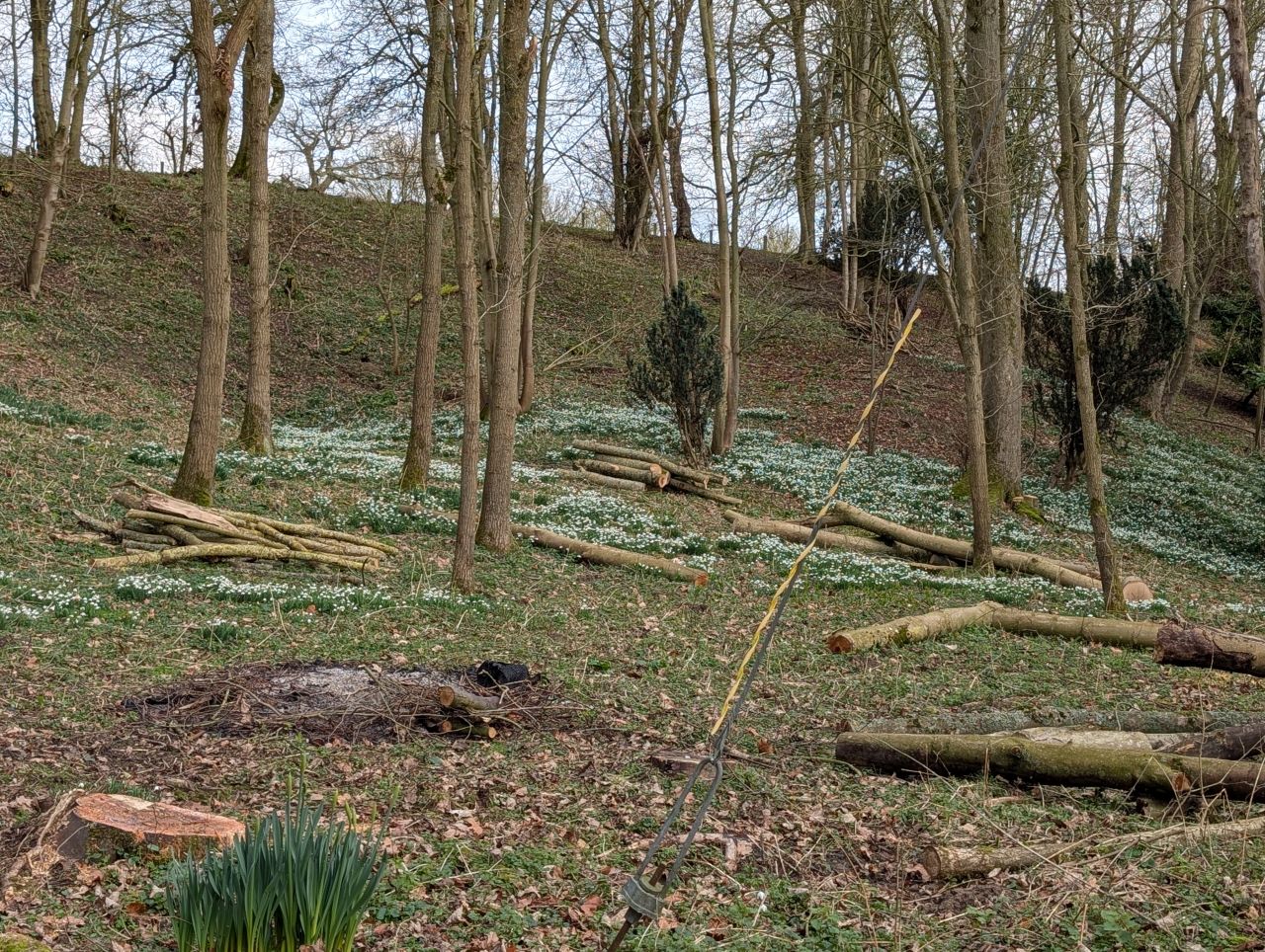 2026-02-18 03 Homersfield and Denton.jpg