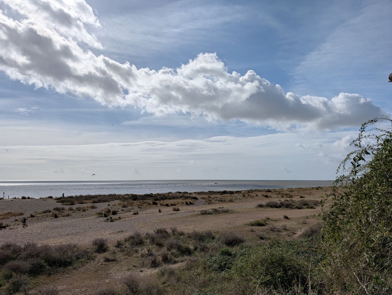 2025-08-27 01 Kirkley Anniversary Picnic.jpg