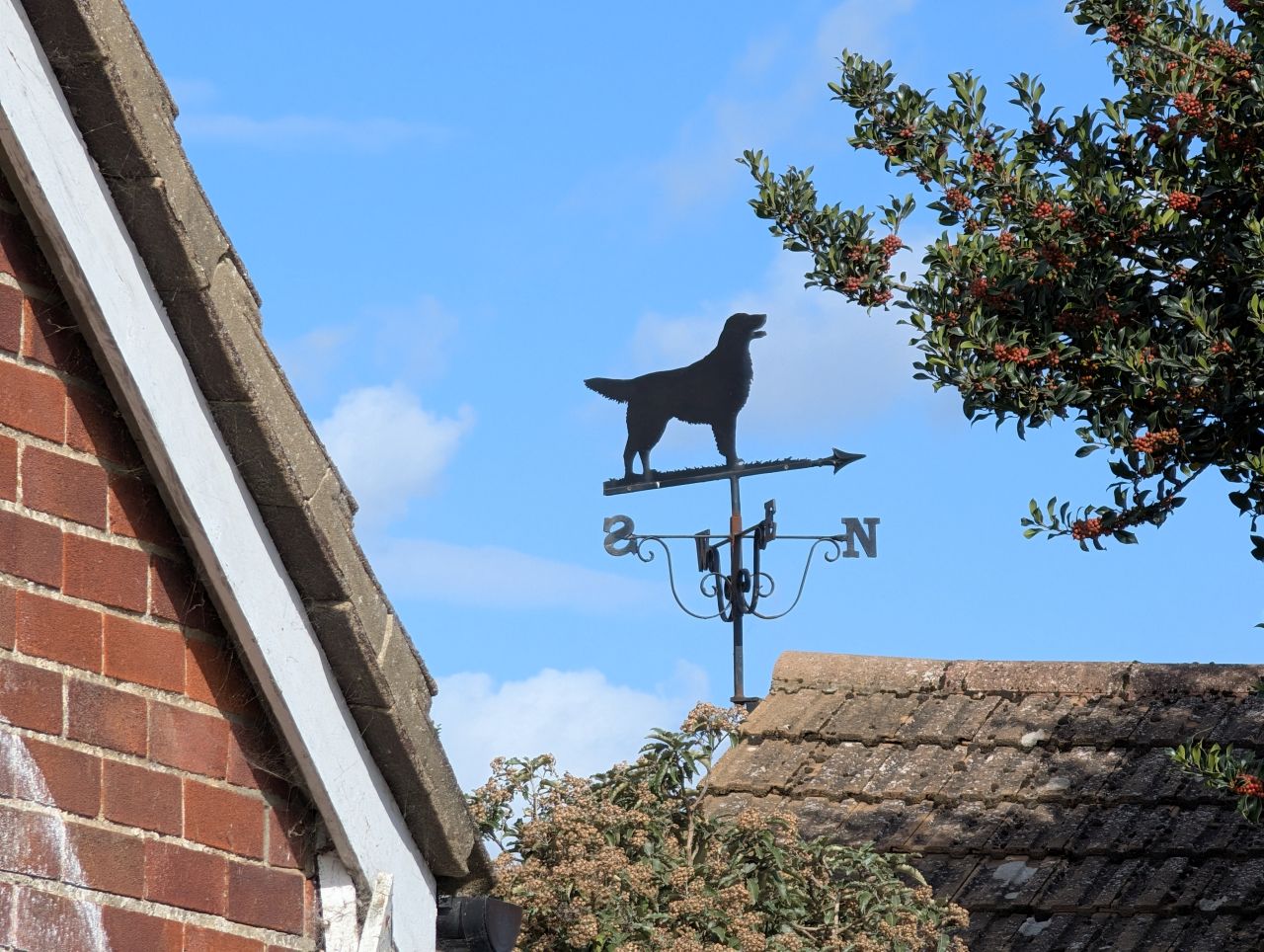 2025-08-27 06 Kirkley Anniversary Picnic.jpg