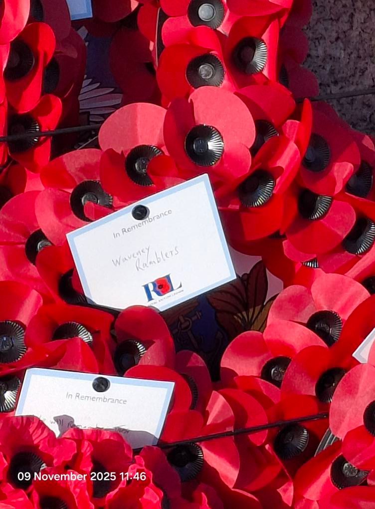 2025-11-09 36 Remembrance.jpg