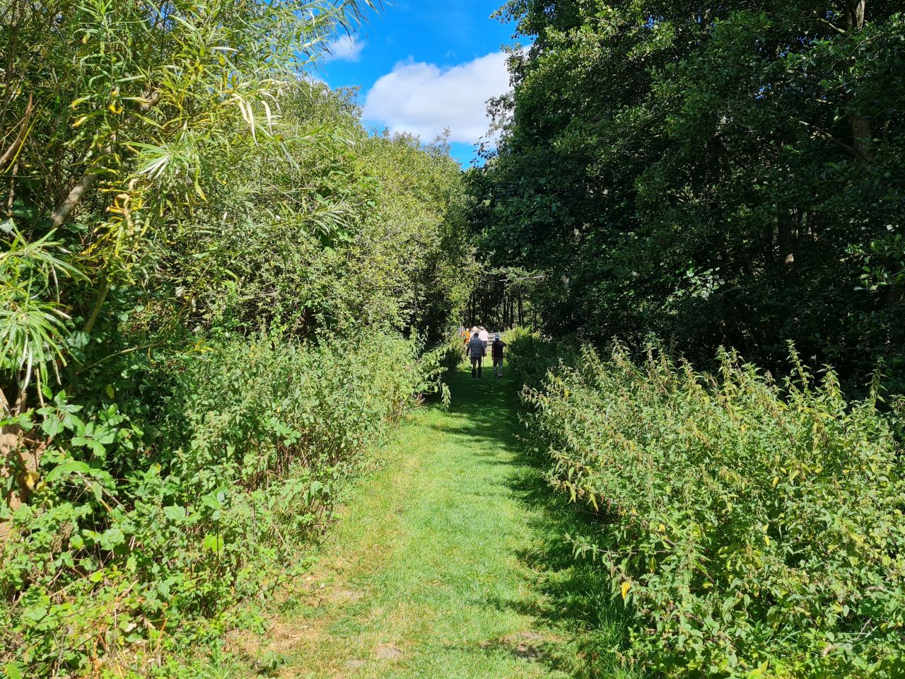 2024-08-21 08 Aldeby and Waveney.jpg