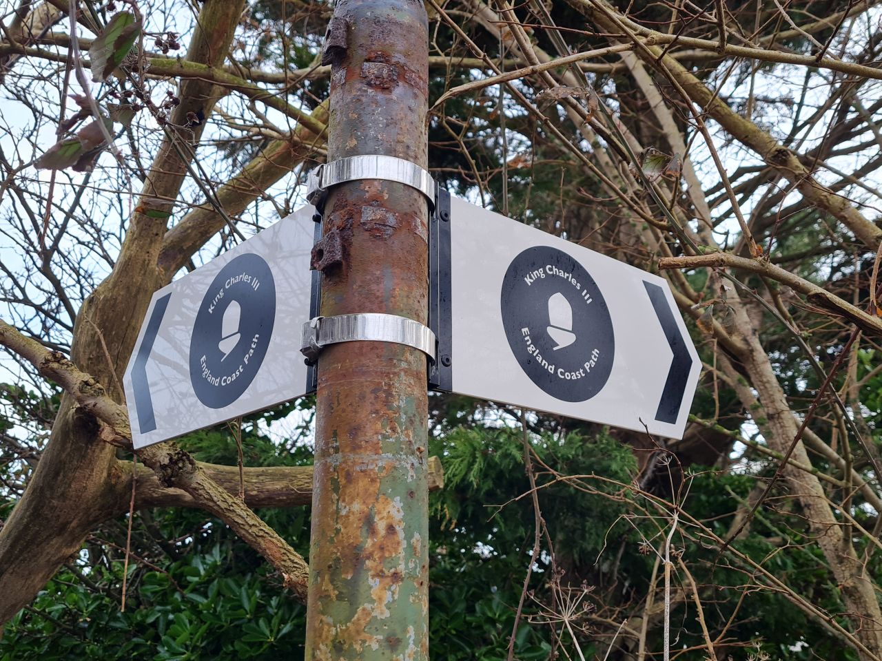 2025-02-21 34 Dip Farm Gunton and Corton.jpg