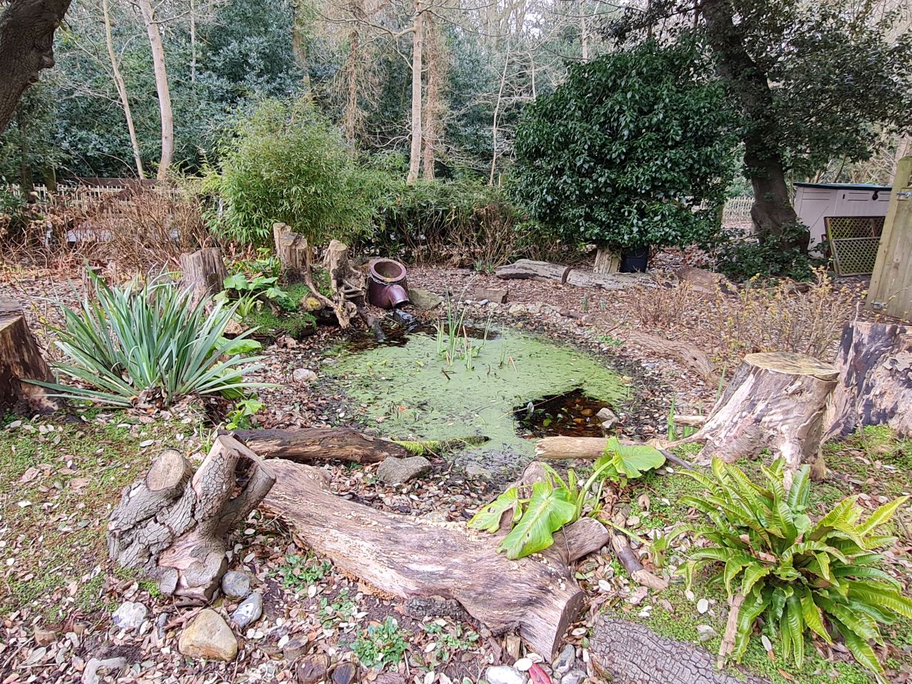 2025-02-21 48 Dip Farm Gunton and Corton.jpg