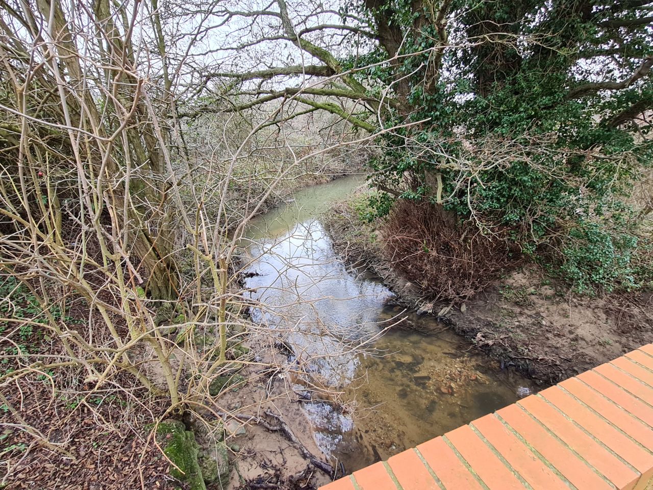 2025-02-08 05 Suffolk Area Ramblers AGM.jpg