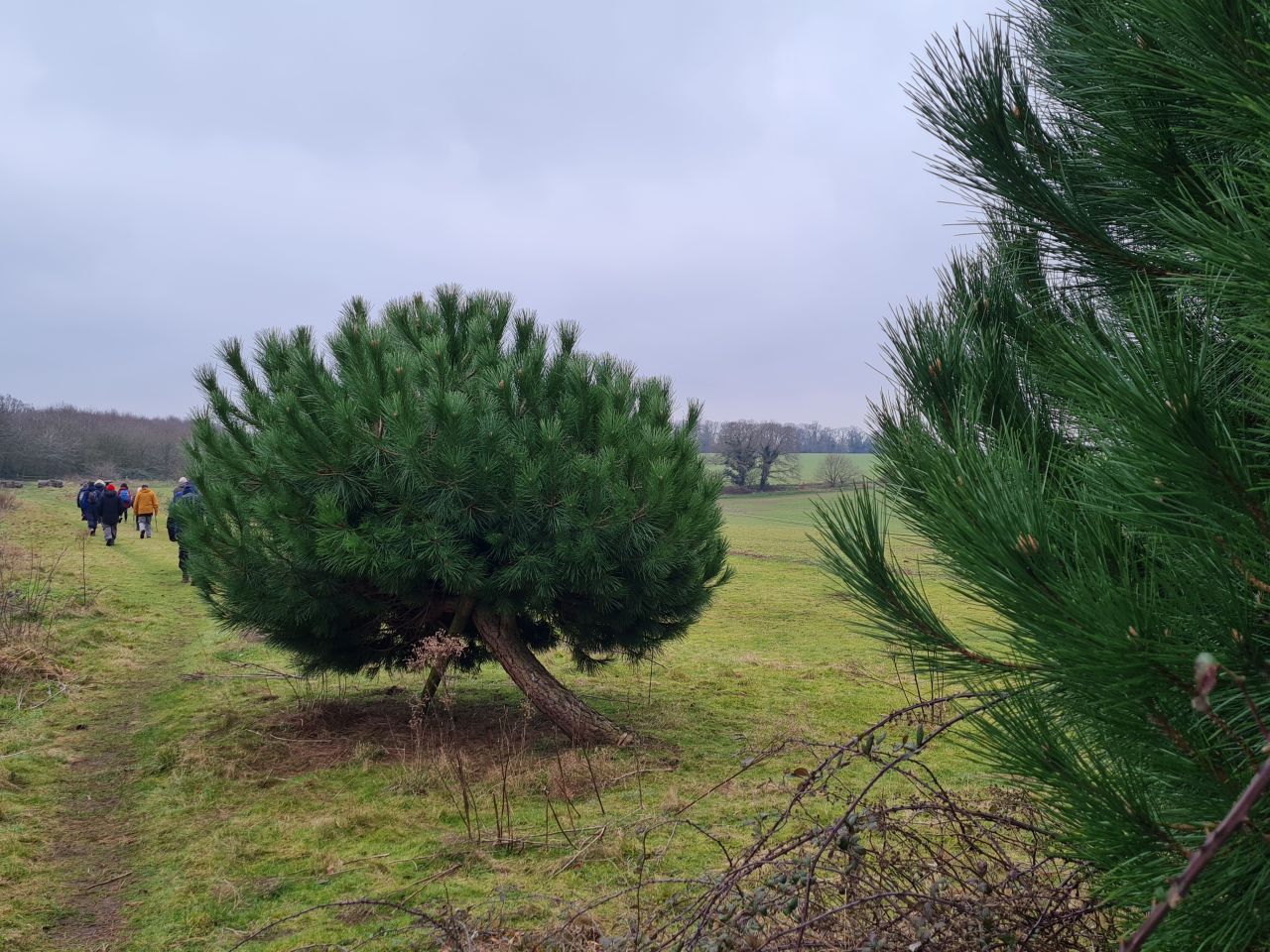 2025-02-08 07 Suffolk Area Ramblers AGM.jpg