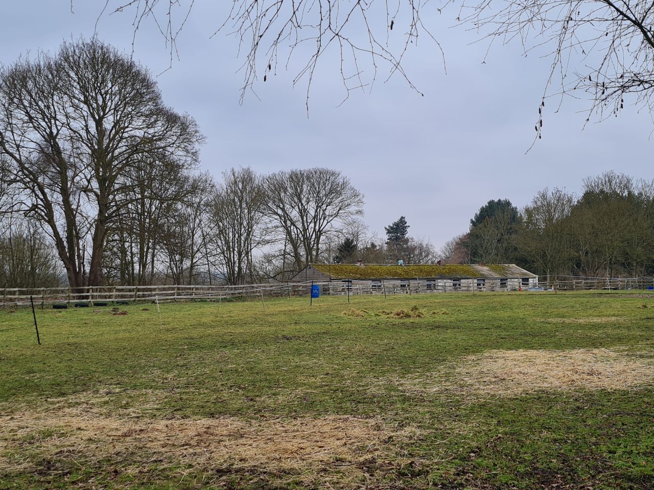 2025-02-08 09 Suffolk Area Ramblers AGM.jpg