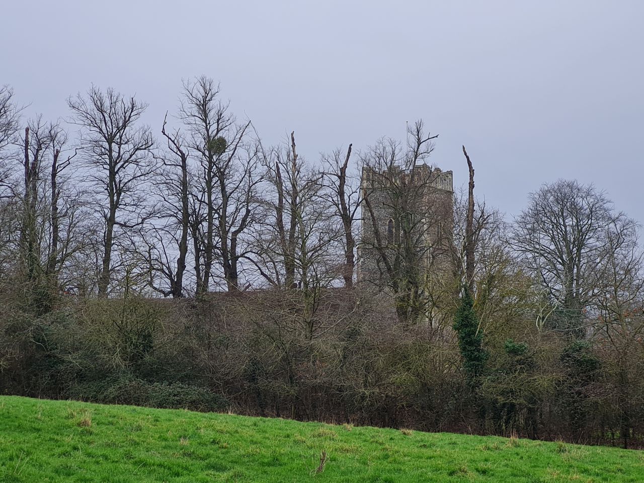 2025-02-08 12 Suffolk Area Ramblers AGM.jpg