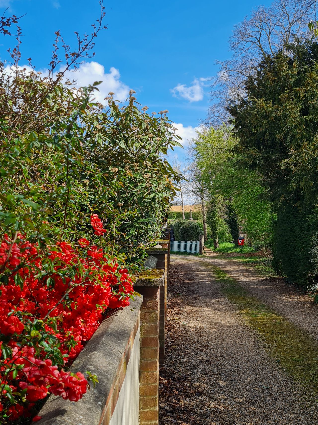 2025-04-14 17 Wattisfield.jpg