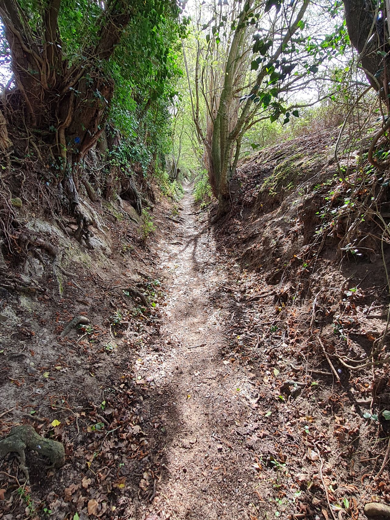 2025-04-14 18 Wattisfield.jpg