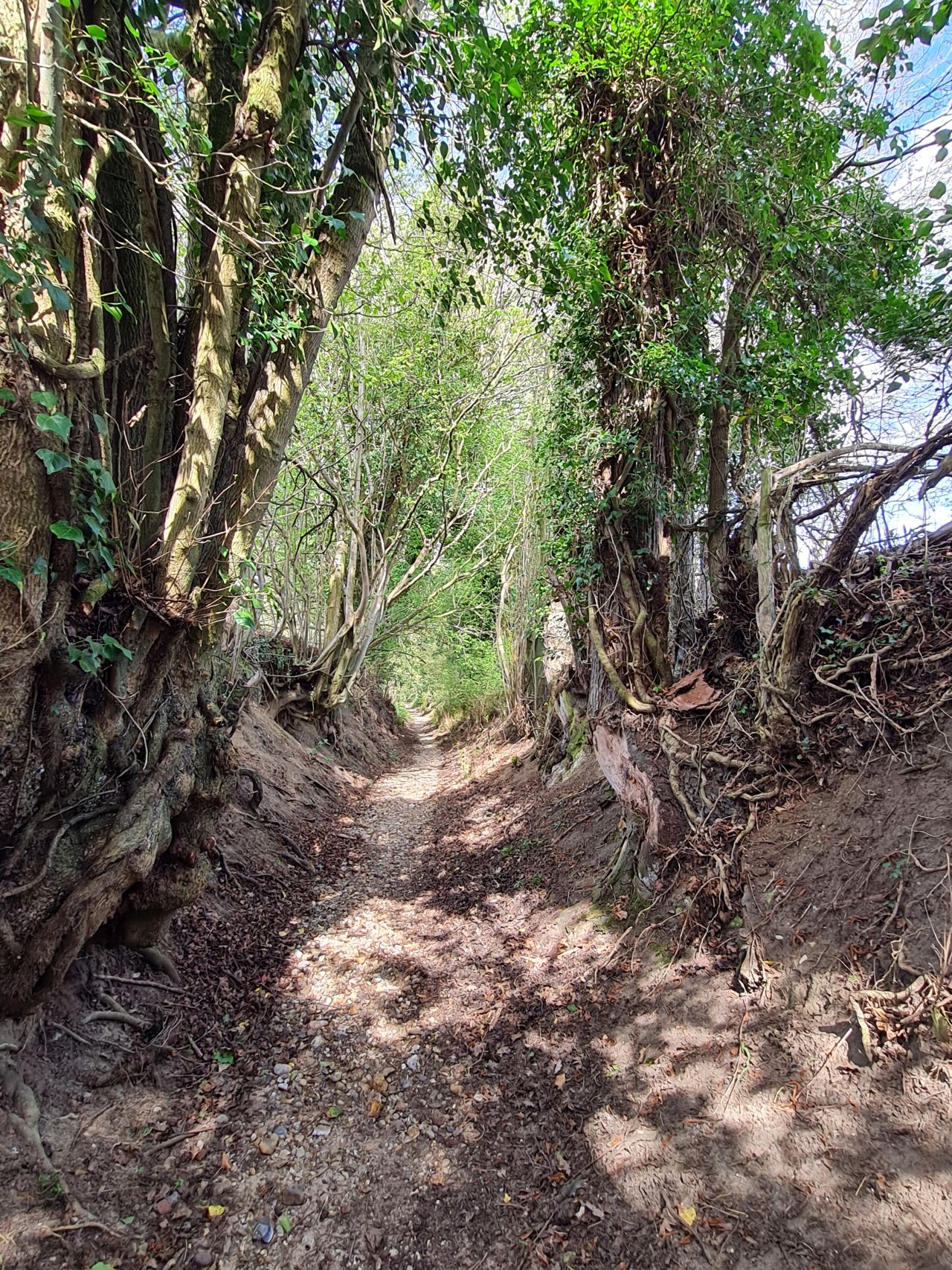 2025-04-14 19 Wattisfield.jpg