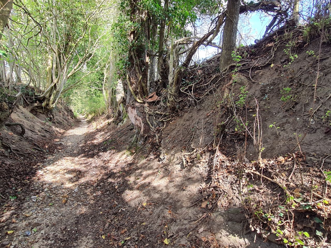 2025-04-14 20 Wattisfield.jpg