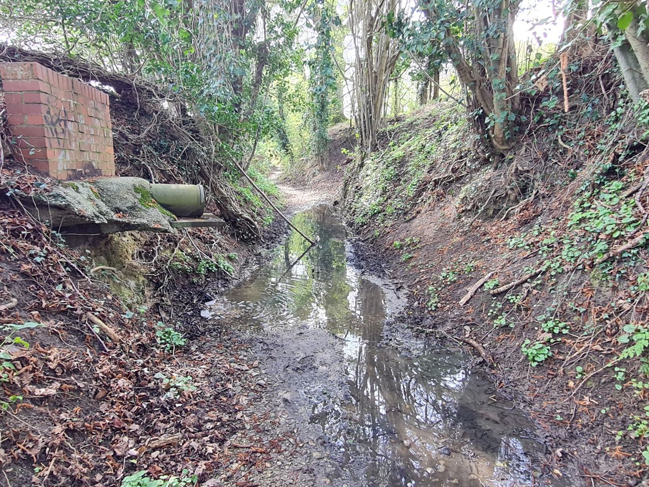 2025-04-14 21 Wattisfield.jpg