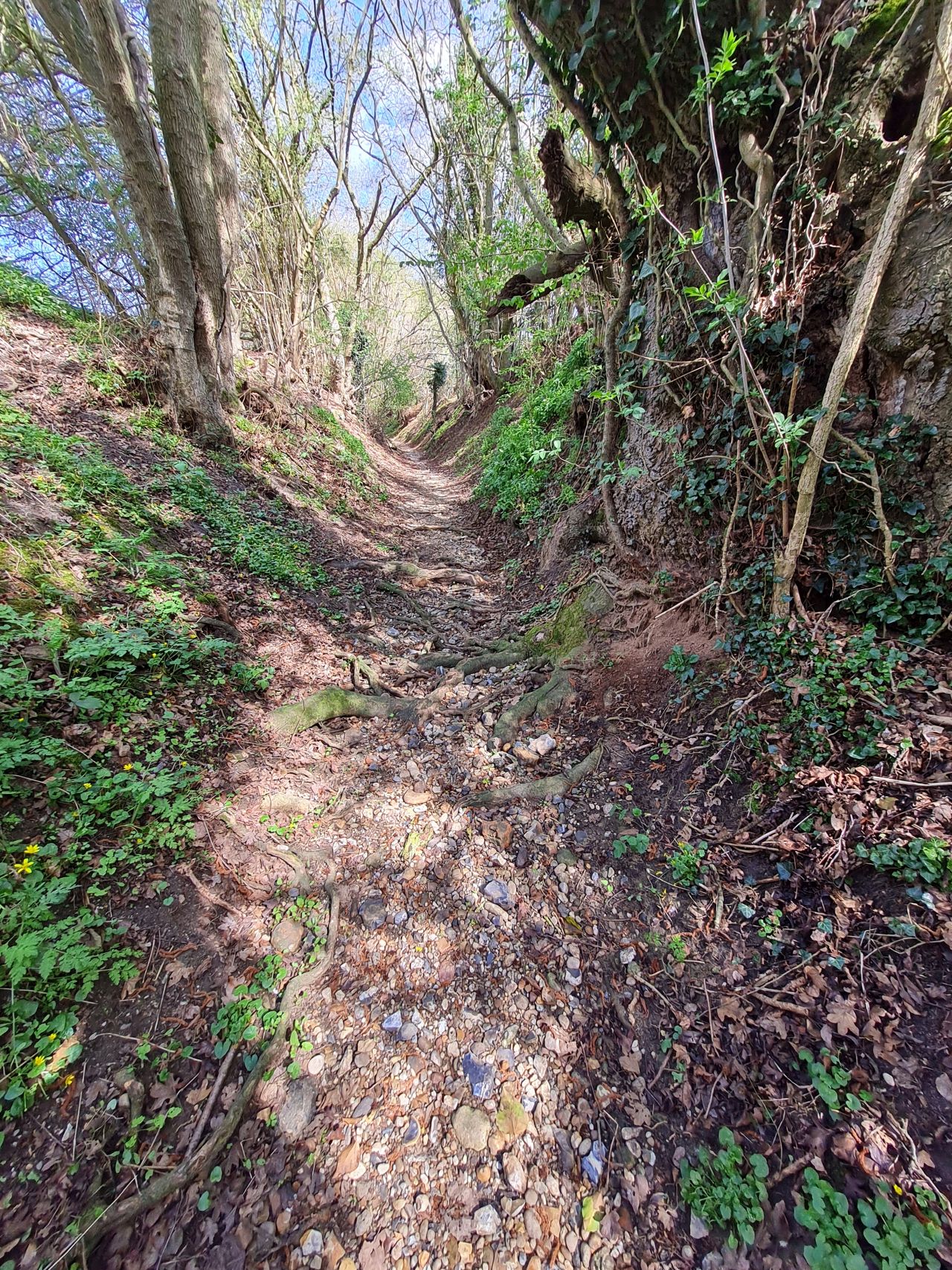 2025-04-14 22 Wattisfield.jpg