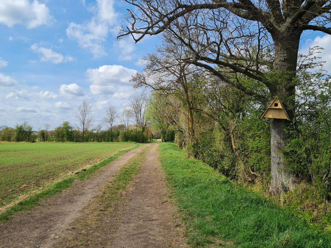 2025-04-14 24 Wattisfield.jpg