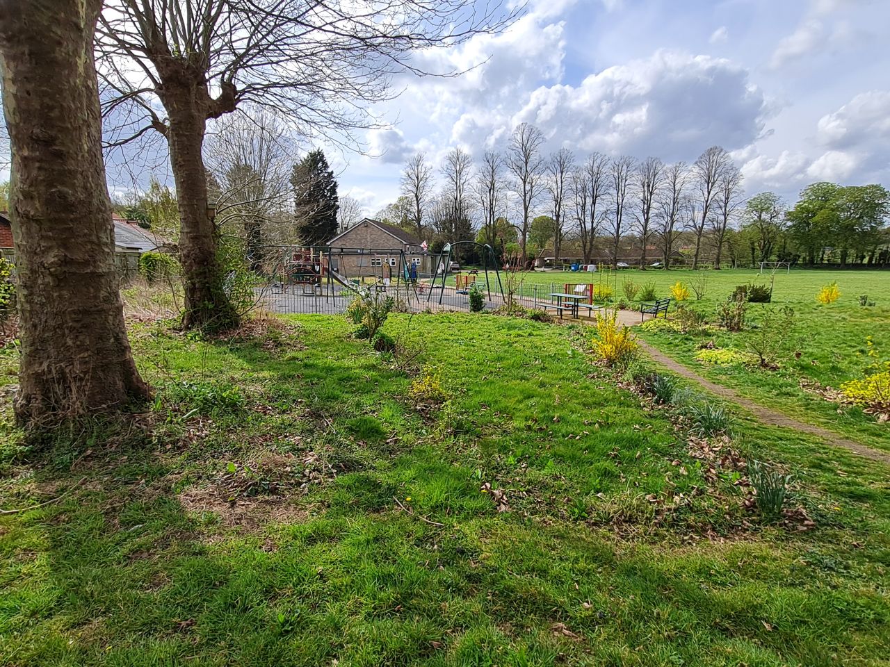 2025-04-14 33 Wattisfield.jpg