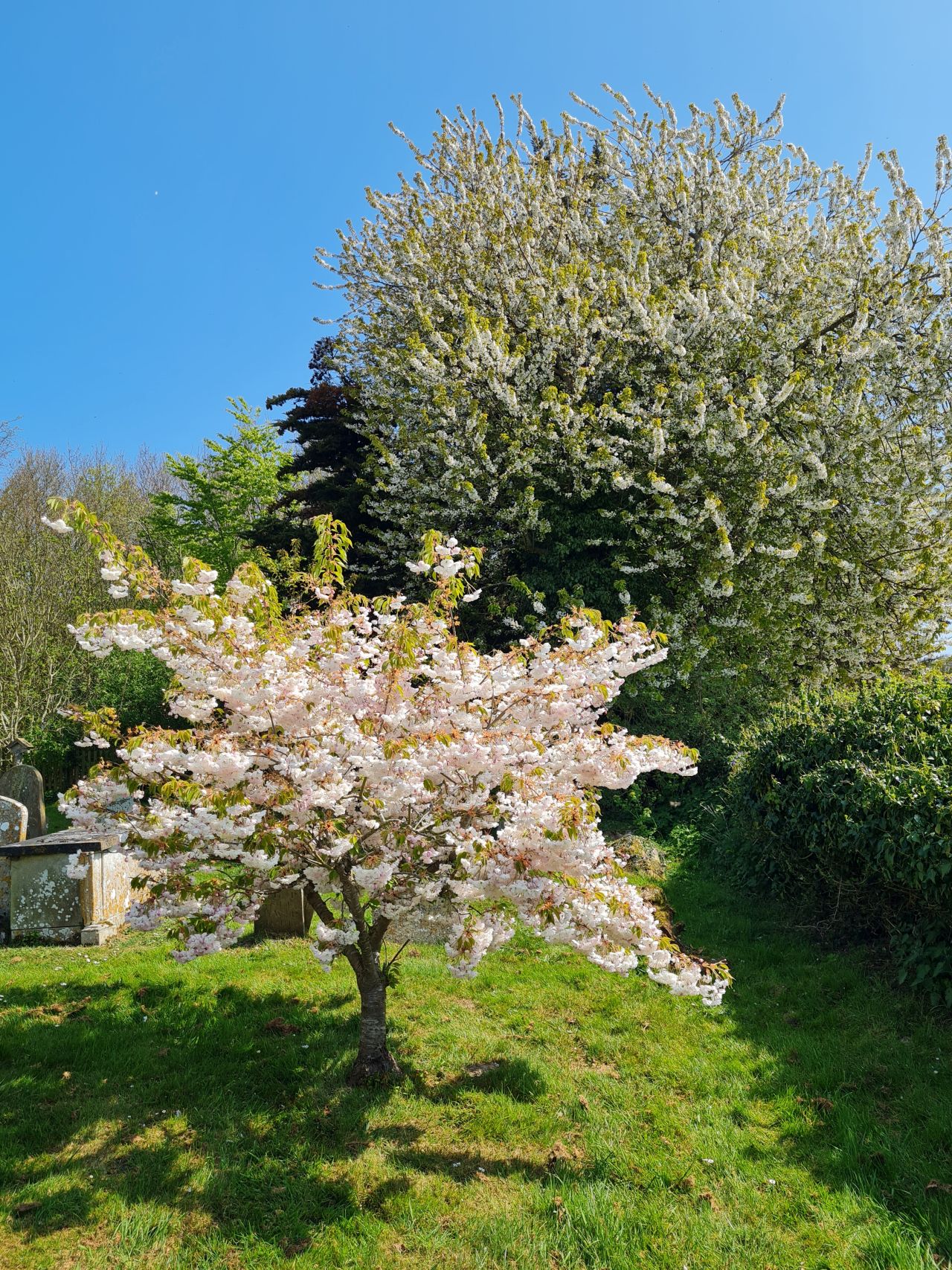 2025-04-27 32 Mautby Saint Peter and Paul.jpg