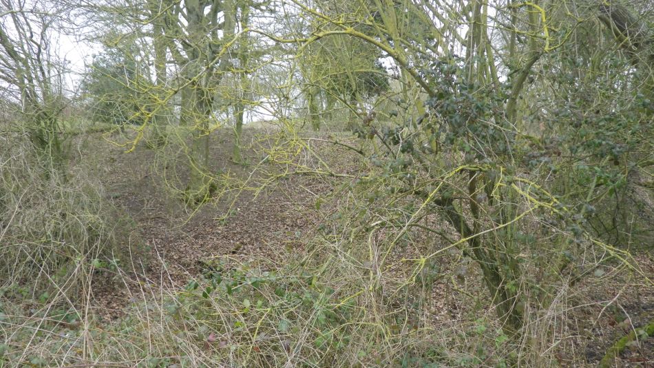 2019-02-20 02 NT Castle Hill Motte and Bailey.JPG
