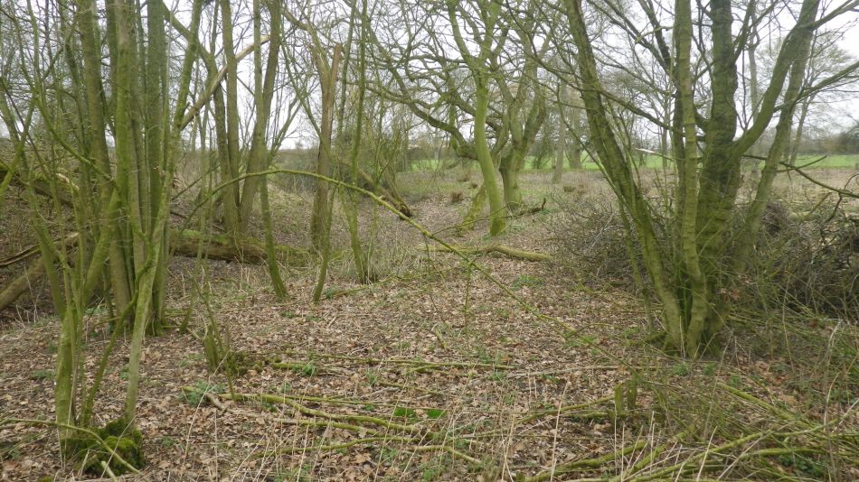 2019-02-20 05 NT Castle Hill Motte and Bailey.JPG