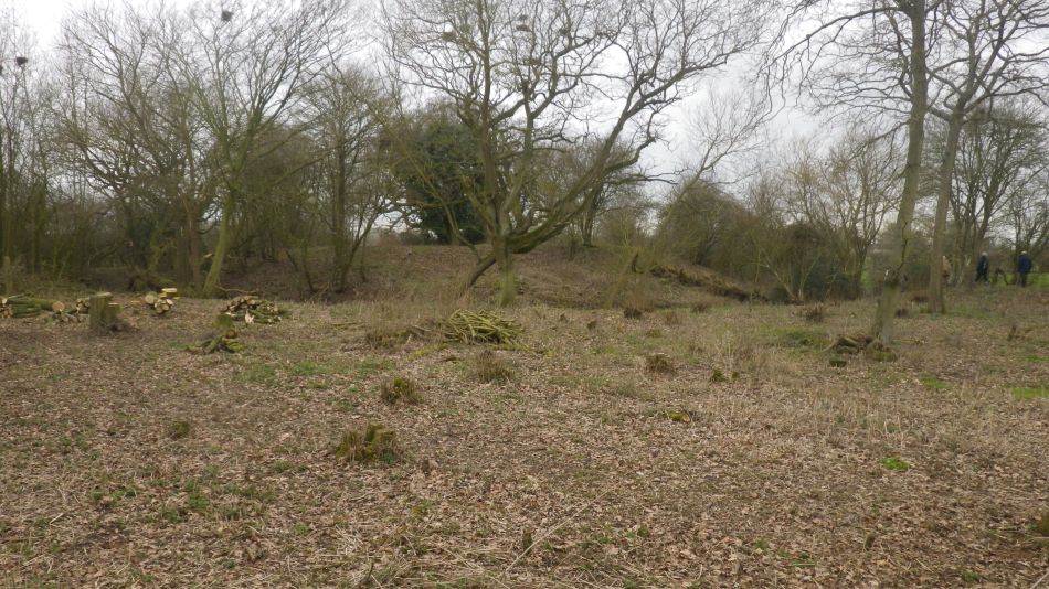 2019-02-20 06 NT Castle Hill Motte and Bailey.JPG