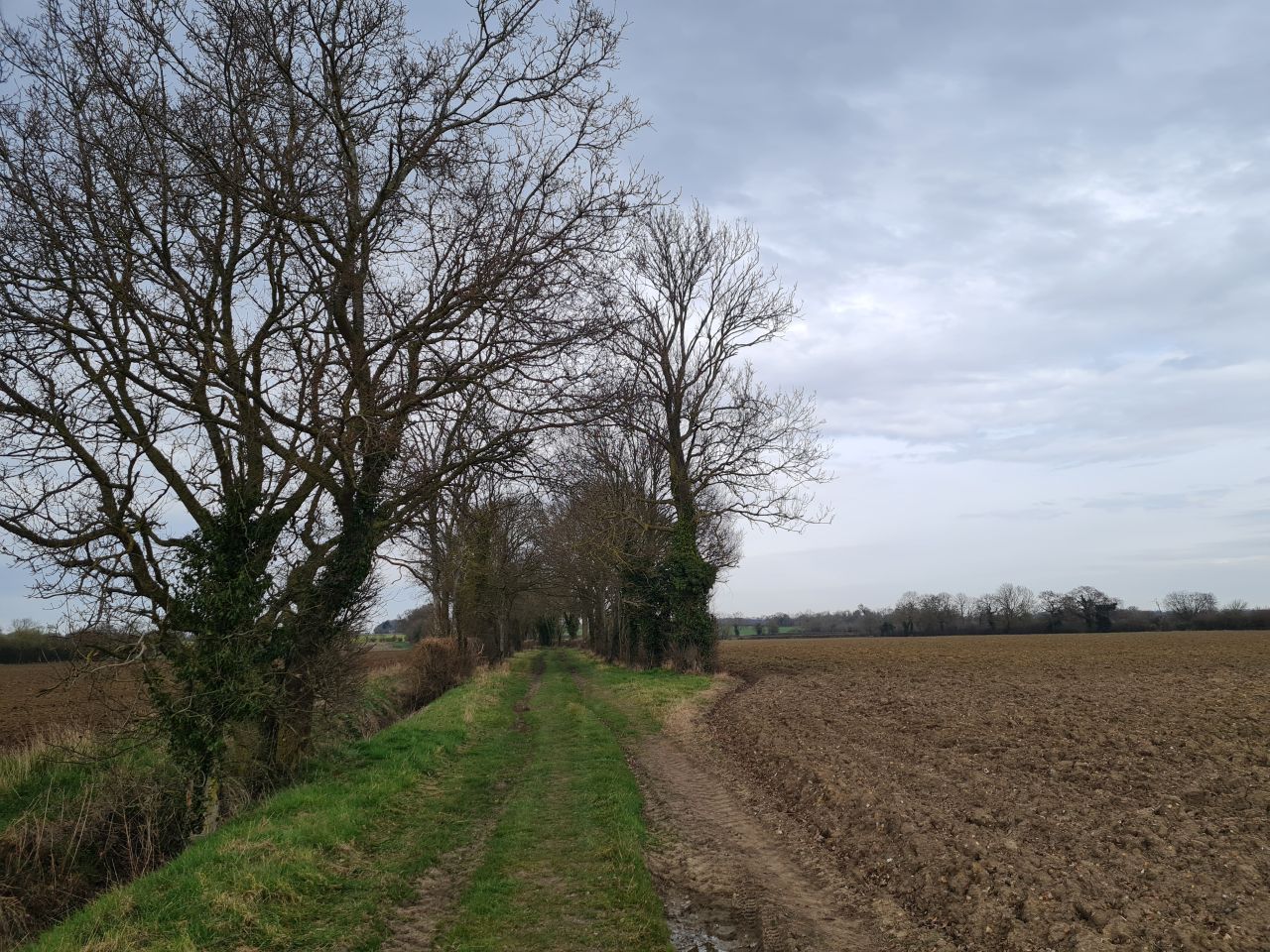 2025-03-22 01 Alburgh and Denton.jpg