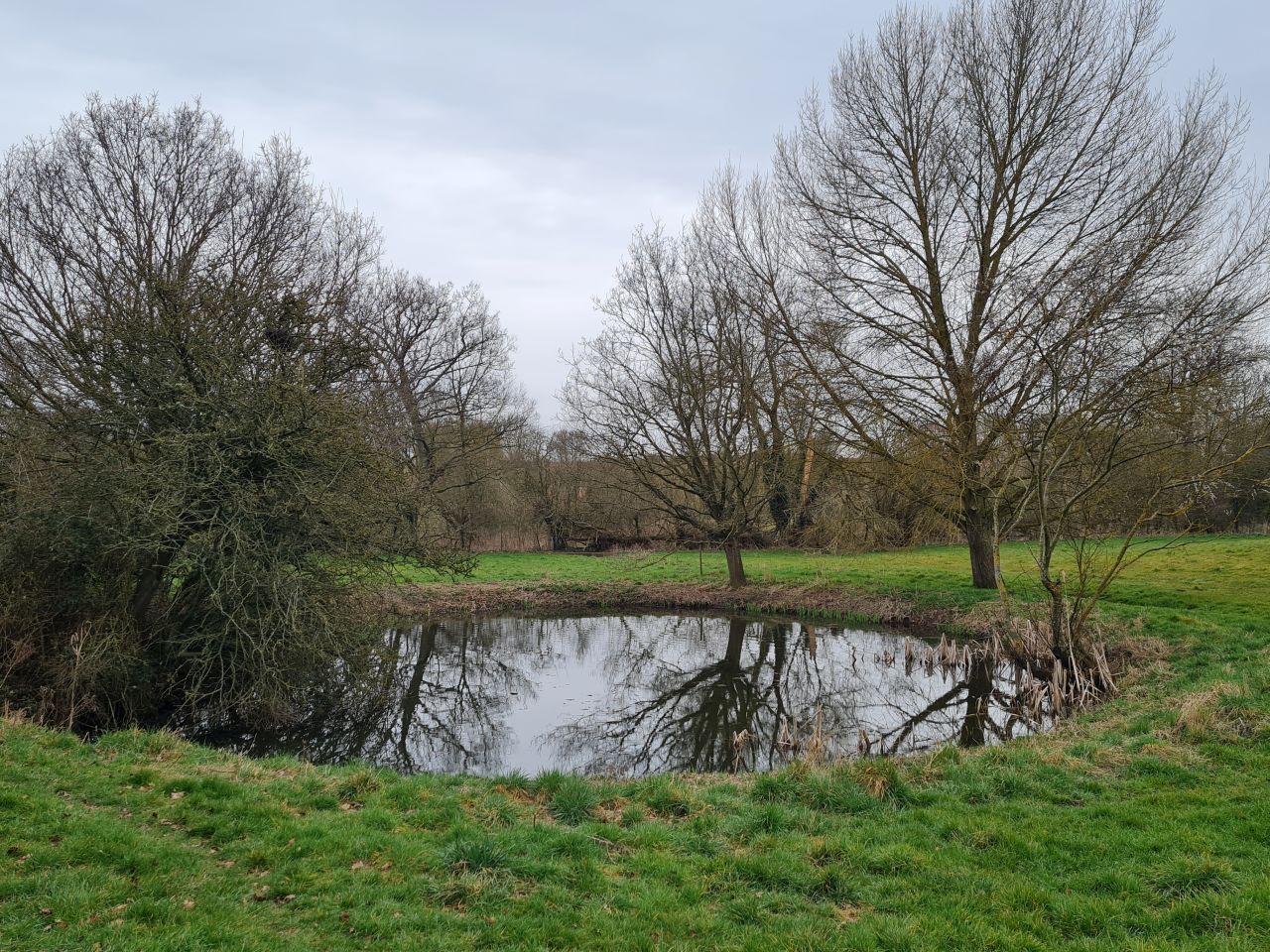 2025-03-22 06 Alburgh and Denton.jpg