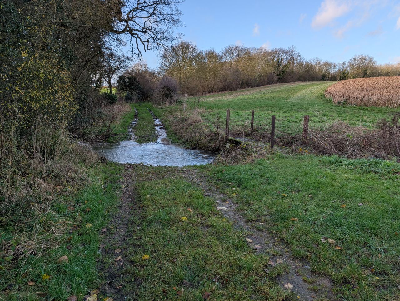 2025-12-10 01 Alburgh.jpg