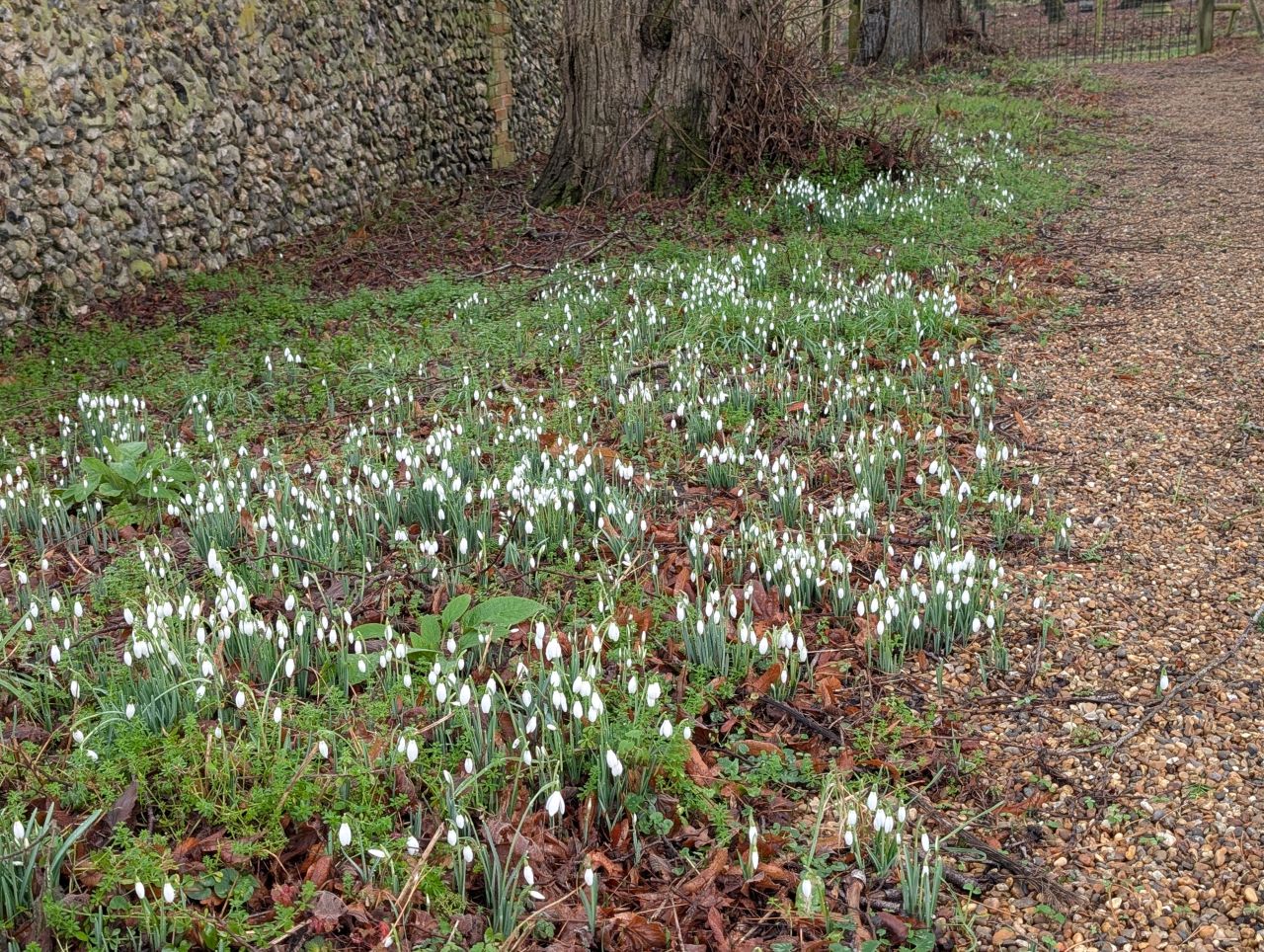 2026-01-28 10 Danacre Saint Mary.jpg