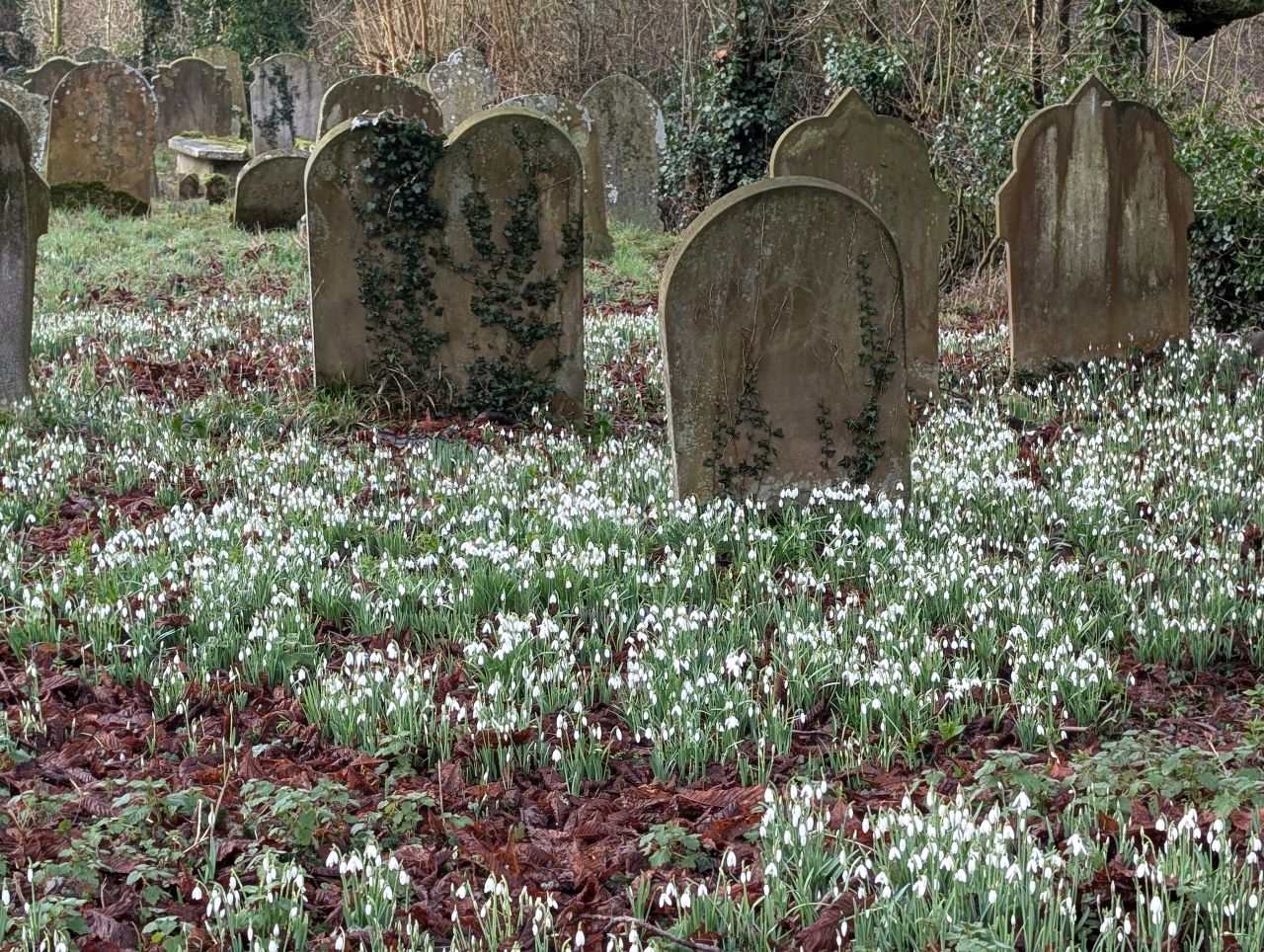 2026-01-28 32 Alburgh All Saints.jpg