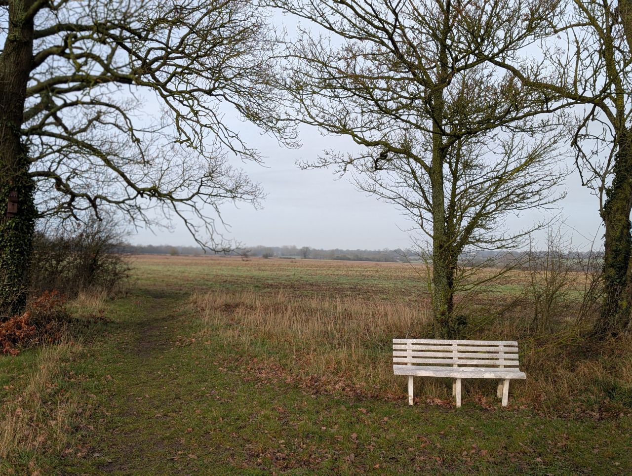 2026-01-28 35 Alburgh and Danacre.jpg