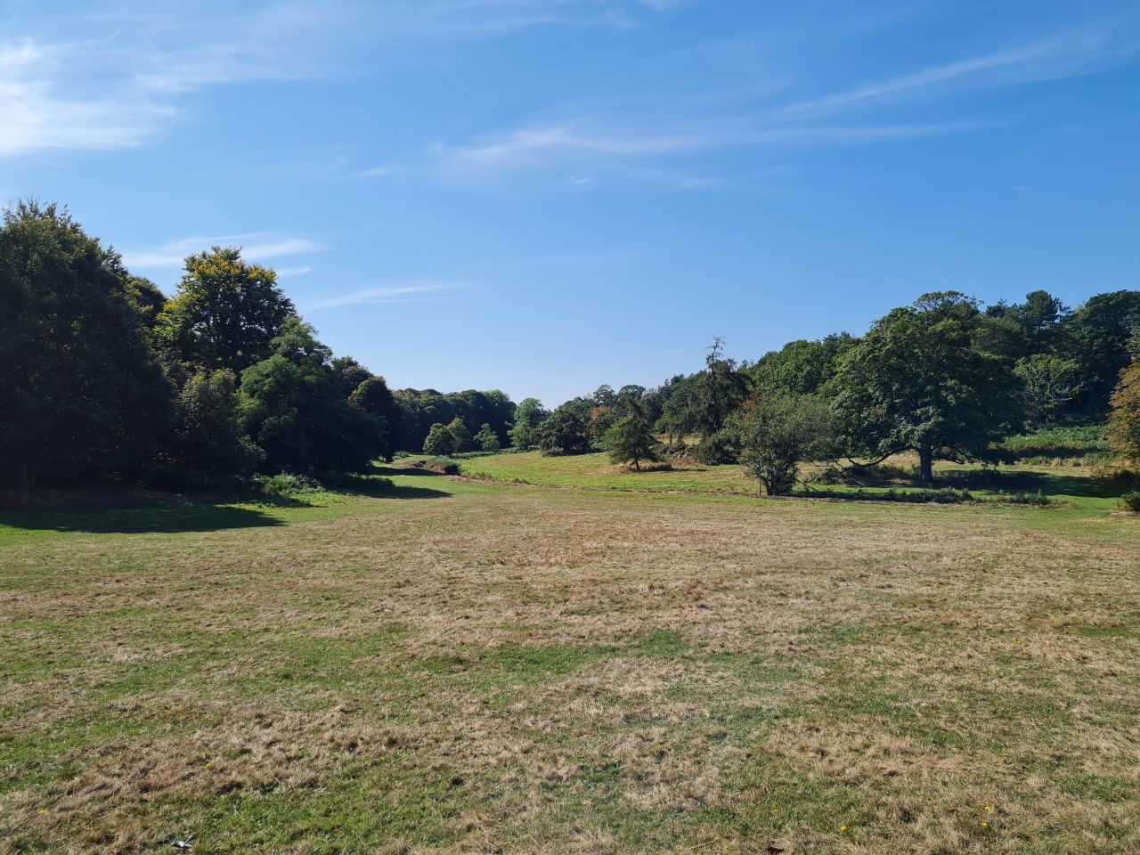 2024-09-04 04 Henham Park.jpg