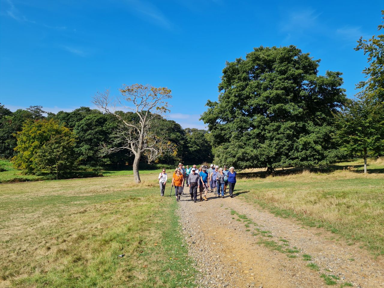 2024-09-04 05 Henham Park.jpg