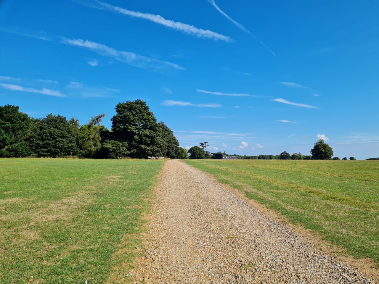 2024-09-04 07 Henham Park.jpg