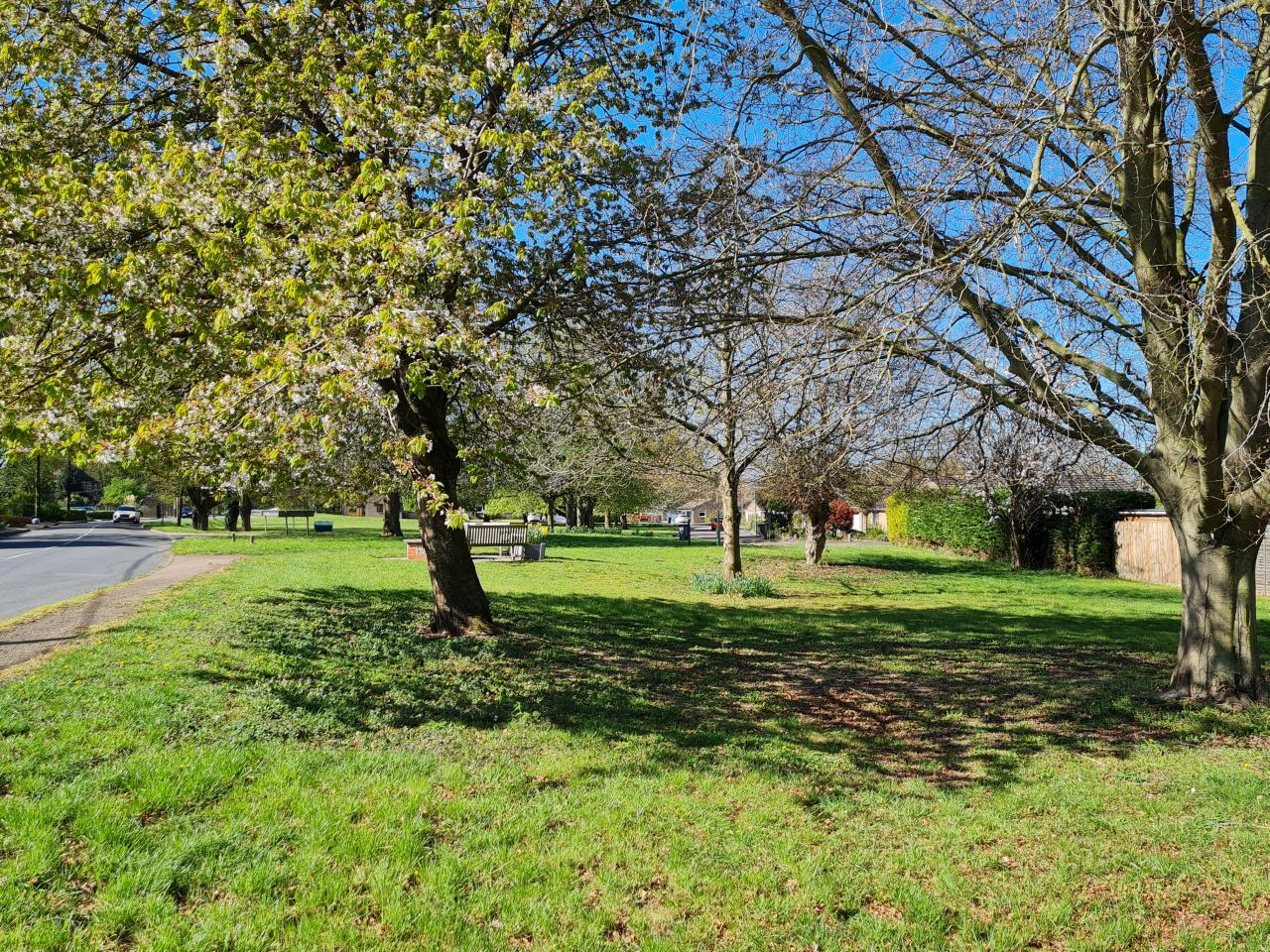 2025-04-17 12 Bradwell Ash and Walsham le Willows.jpg