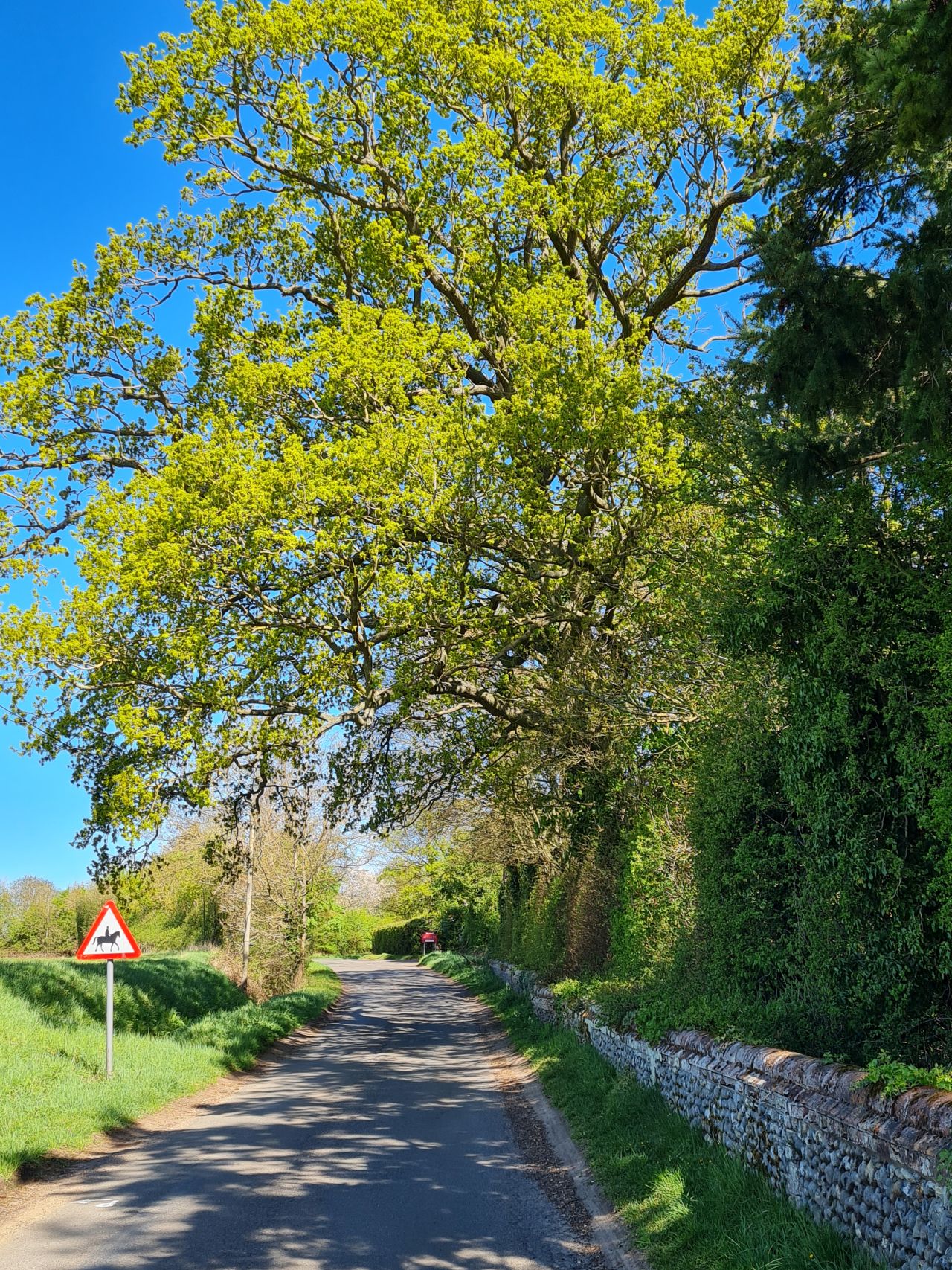 2025-04-17 23 Bradwell Ash and Walsham le Willows.jpg
