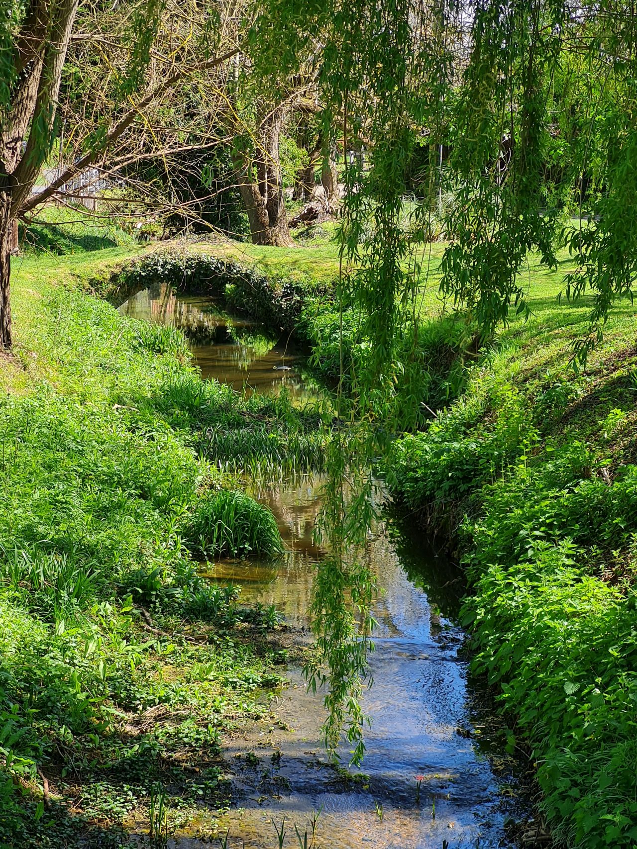 2025-04-17 26 Bradwell Ash and Walsham le Willows.jpg