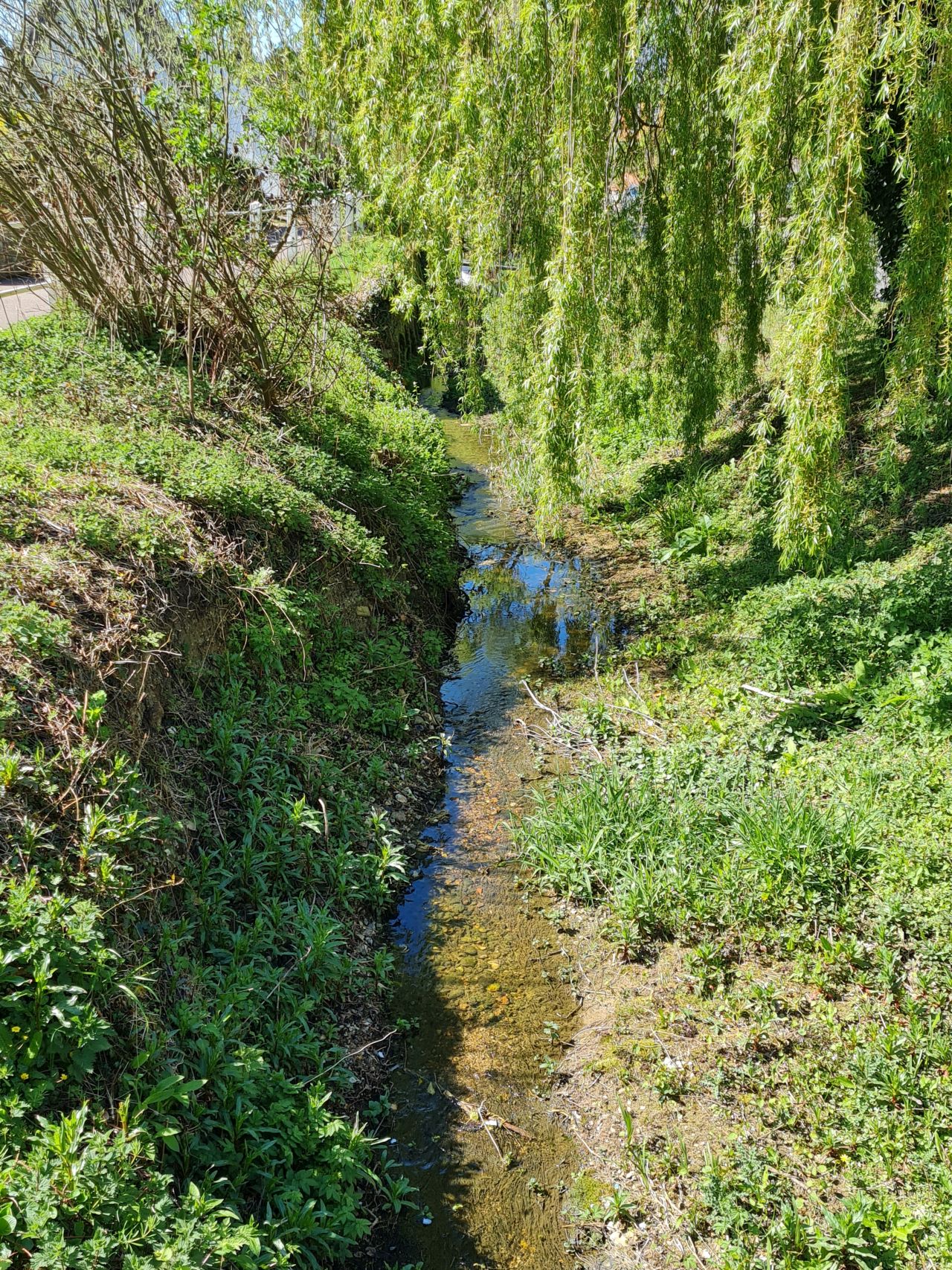 2025-04-17 27 Bradwell Ash and Walsham le Willows.jpg