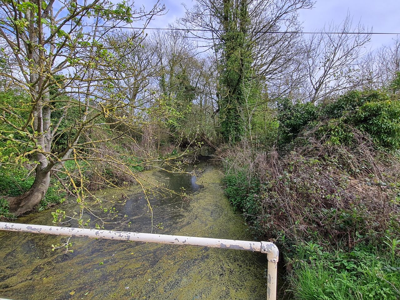 2025-04-19 20 Norton Little Green and Hunston.jpg