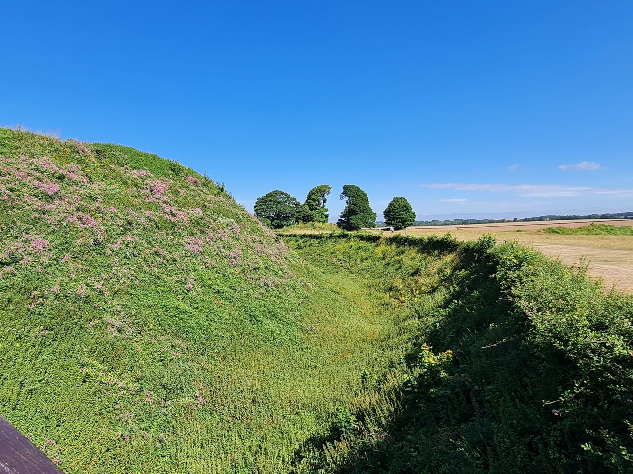 2025-07-09 05 Old Sarum.jpg