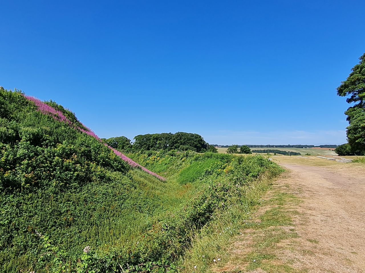 2025-07-09 21 Old Sarum.jpg