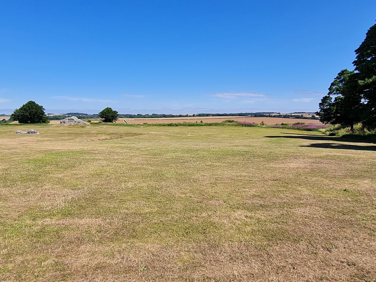 2025-07-09 24 Old Sarum.jpg