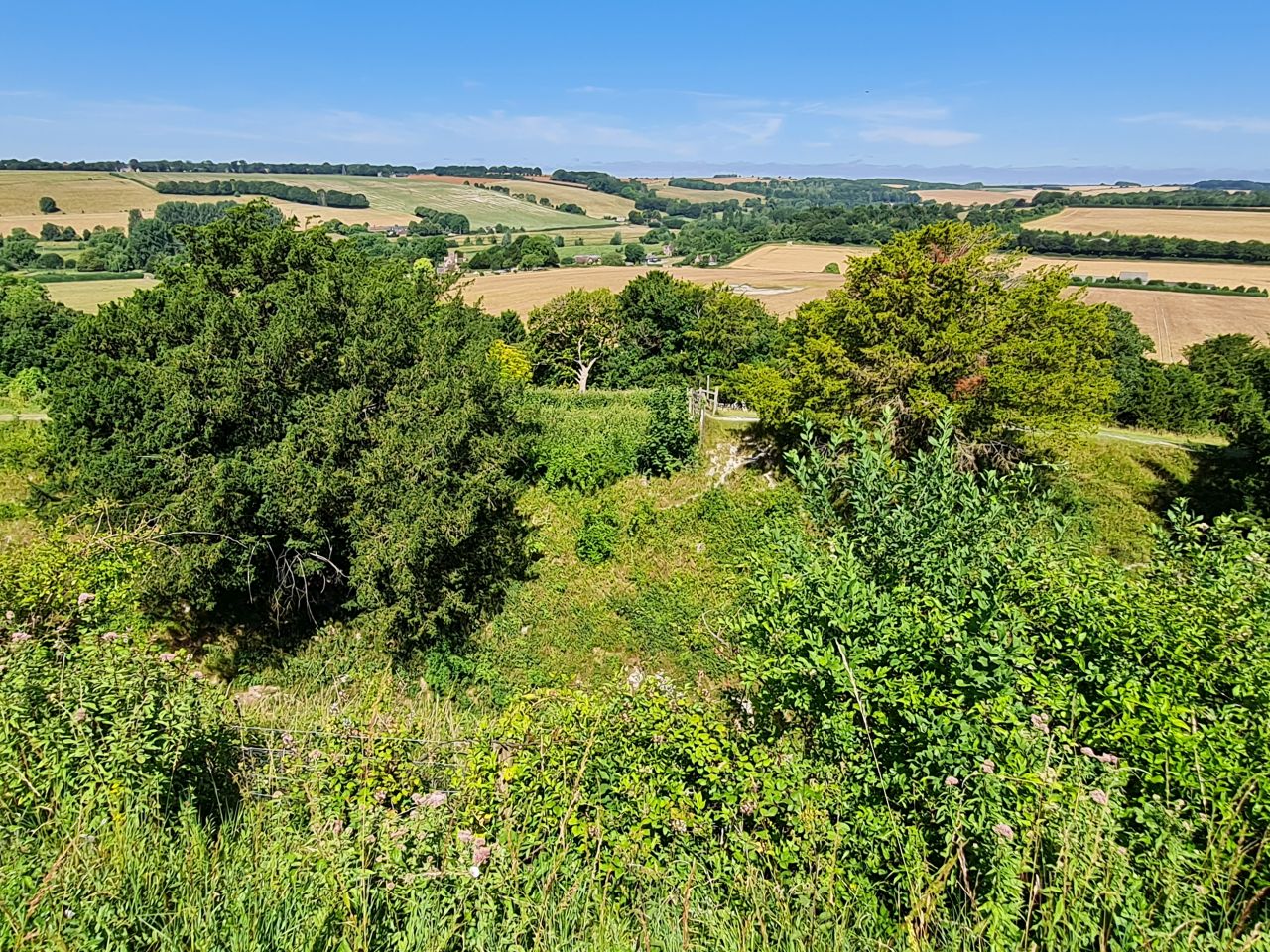 2025-07-09 25 Old Sarum.jpg