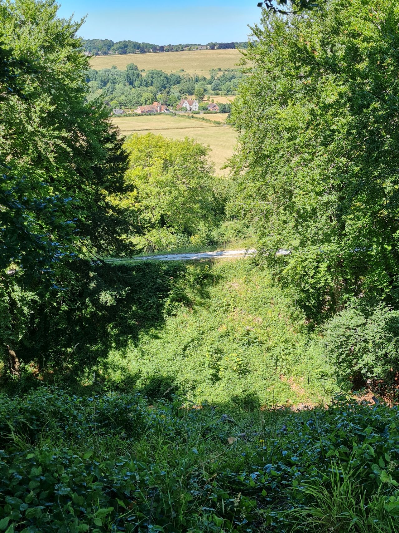 2025-07-09 28 Old Sarum.jpg
