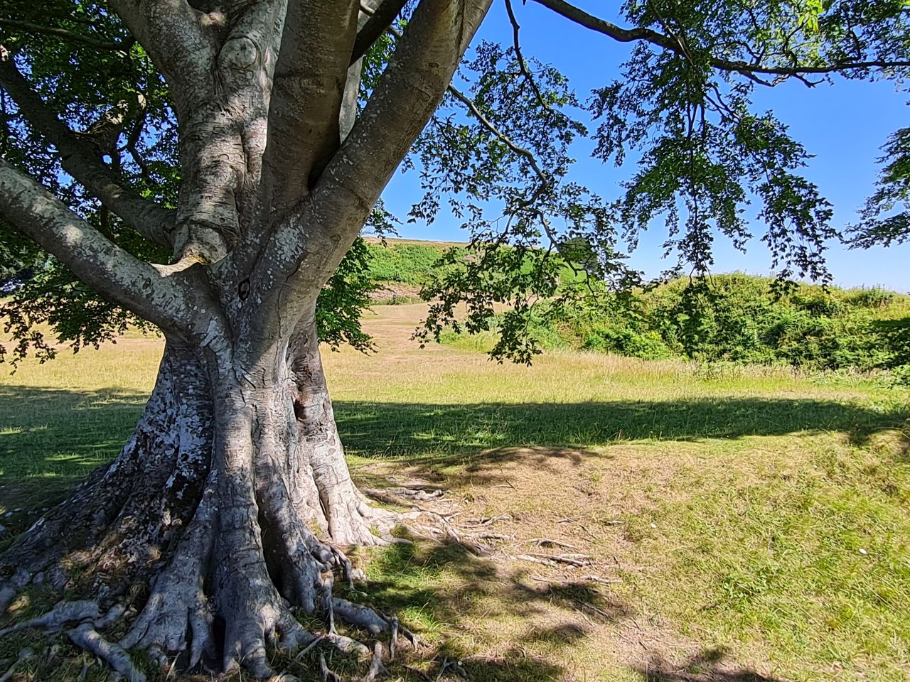 2025-07-09 29 Old Sarum.jpg