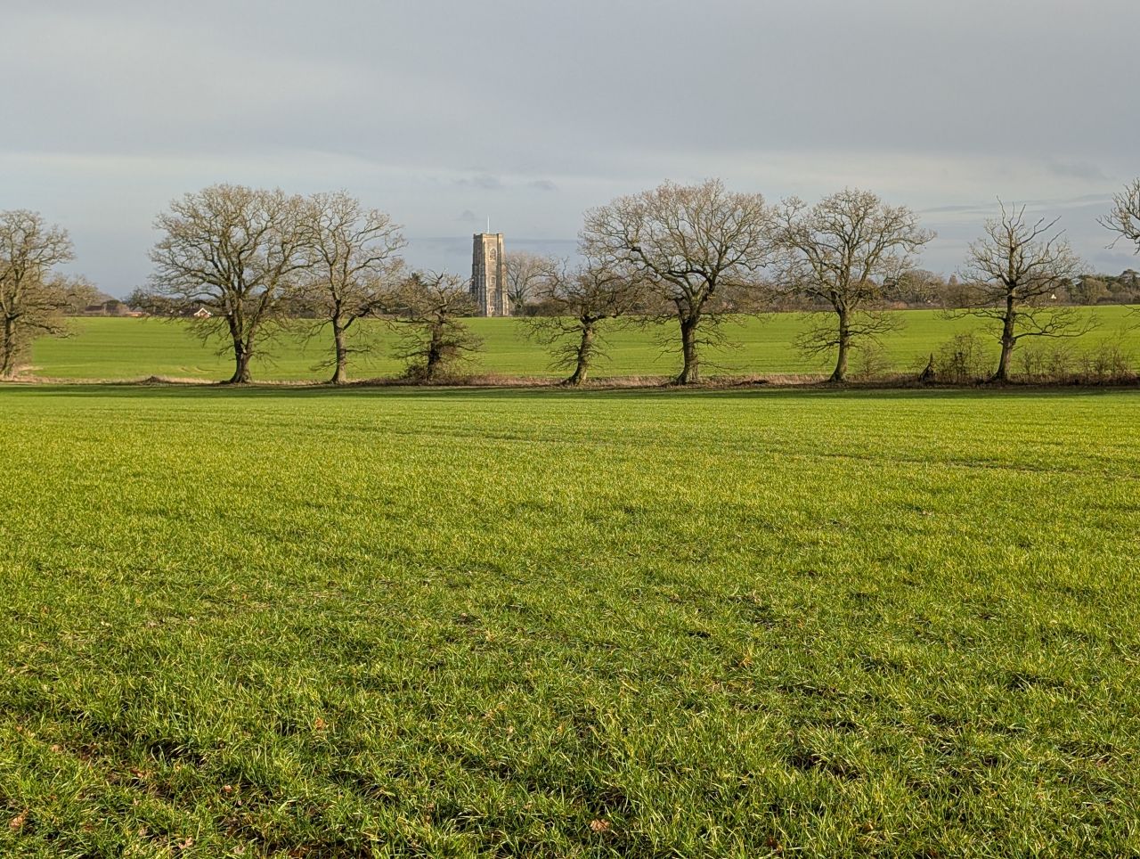 2026-01-31 13 Suffolk Area AGM.jpg