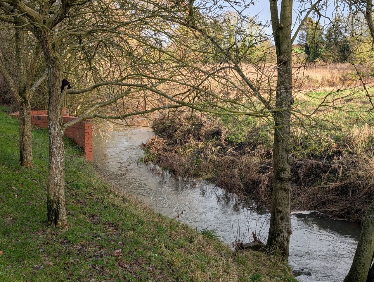 2026-01-31 22 Suffolk Area AGM.jpg