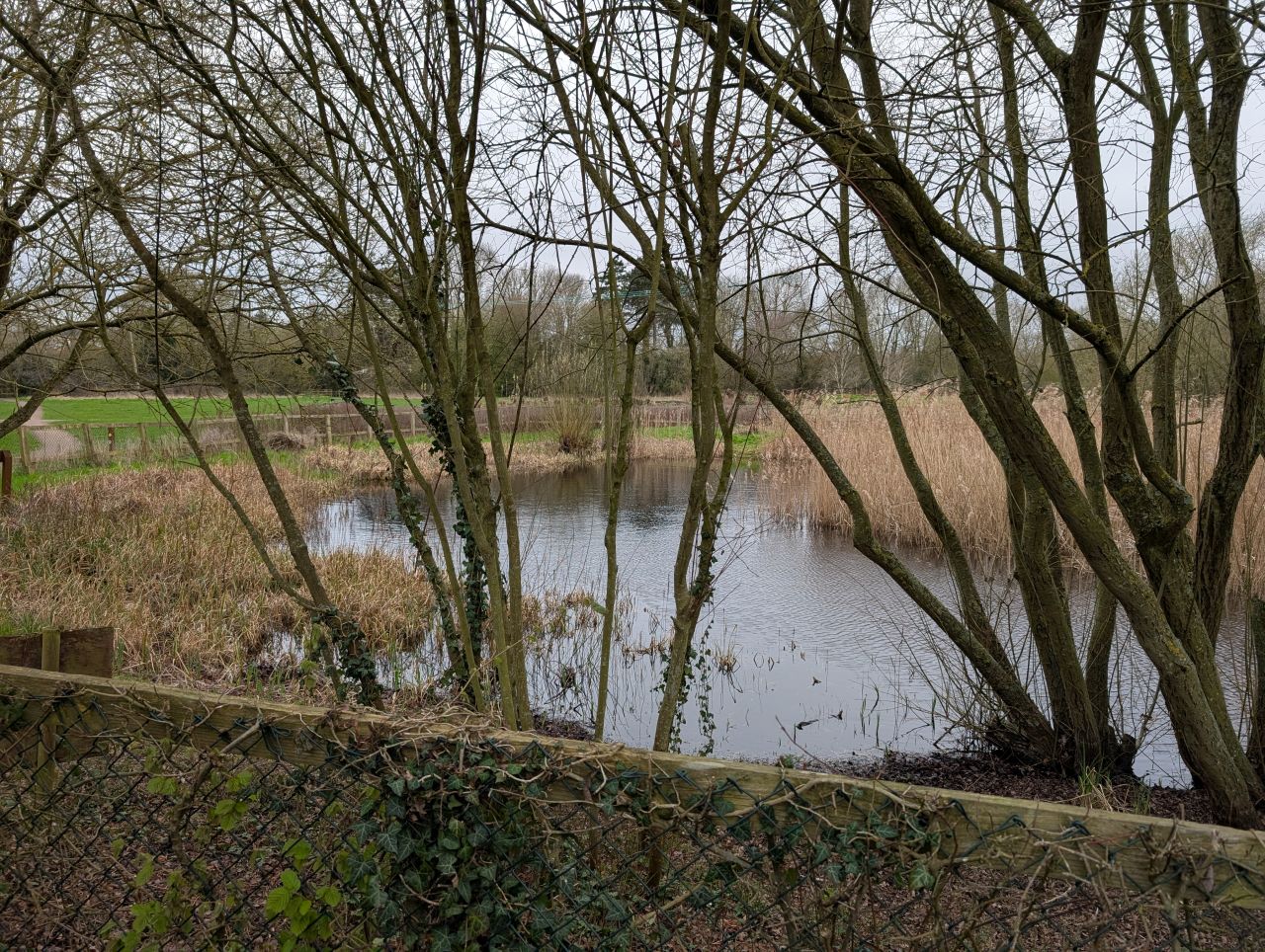 2026-03-17 01 Haverhill and Kedington.jpg