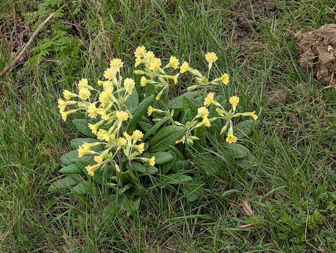 2026-03-17 14 Haverhill and Kedington.jpg