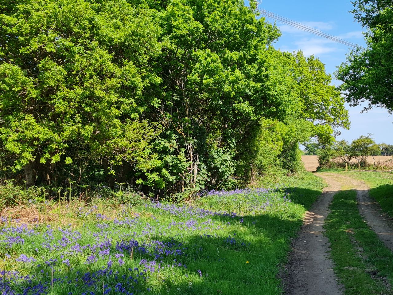 2025-05-02 14 Wickham Market to Saxmundham.jpg
