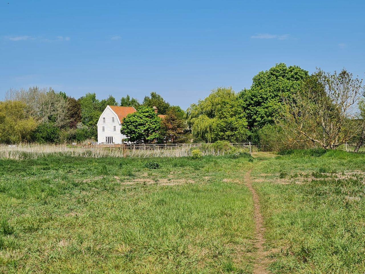2025-05-02 19 Wickham Market to Saxmundham.jpg