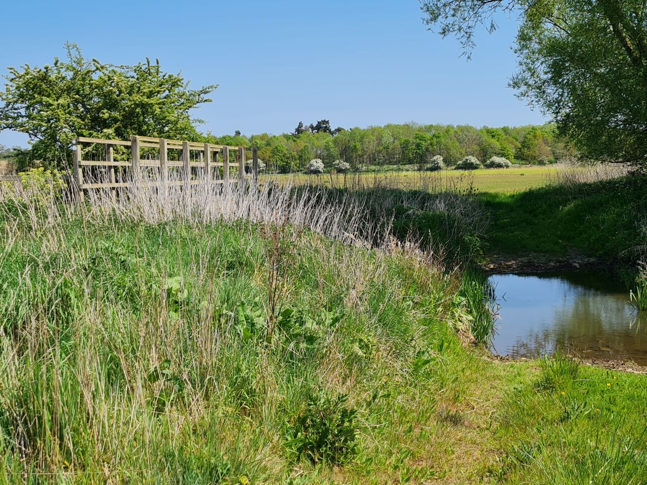 2025-05-02 27 Wickham Market to Saxmundham.jpg